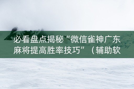 必看盘点揭秘“微信雀神广东麻将提高胜率技巧”（辅助软件)
