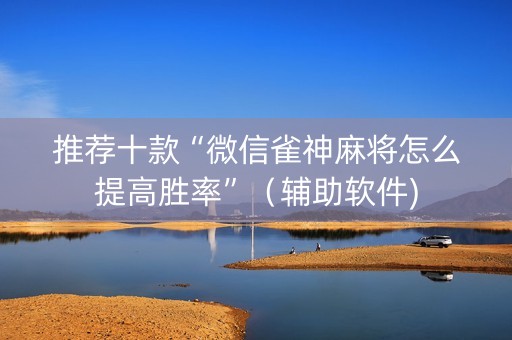 推荐十款“微信雀神麻将怎么提高胜率”（辅助软件)