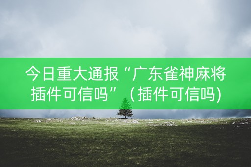今日重大通报“广东雀神麻将插件可信吗”（插件可信吗)