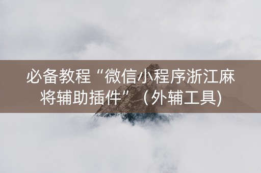 必备教程“微信小程序浙江麻将辅助插件”（外辅工具)