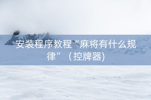 安装程序教程“麻将有什么规律”（控牌器)