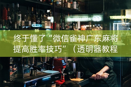终于懂了“微信雀神广东麻将提高胜率技巧”（透明器教程)