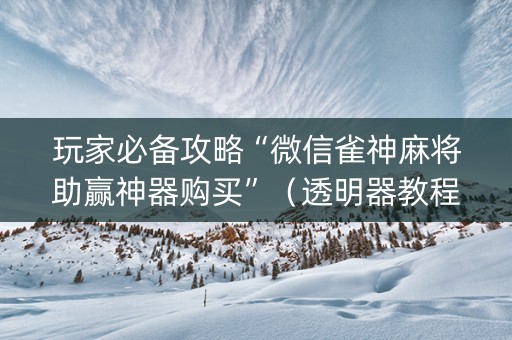 玩家必备攻略“微信雀神麻将助赢神器购买”（透明器教程)