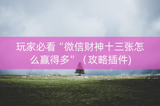 玩家必看“微信财神十三张怎么赢得多”（攻略插件)