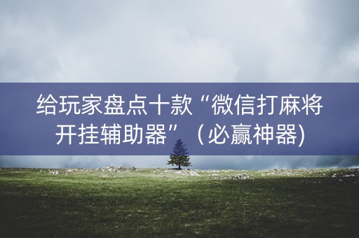 给玩家盘点十款“微信打麻将开挂辅助器”（必赢神器)