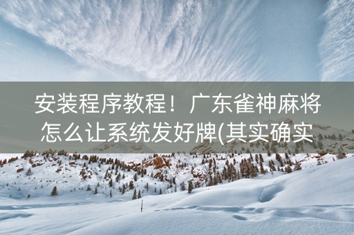 安装程序教程！广东雀神麻将怎么让系统发好牌(其实确实有挂)