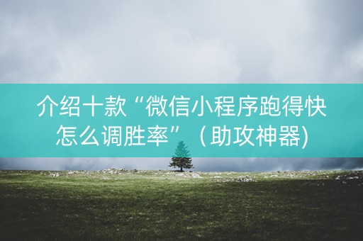 介绍十款“微信小程序跑得快怎么调胜率”（助攻神器)