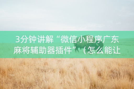 3分钟讲解“微信小程序广东麻将辅助器插件”（怎么能让牌好一点)