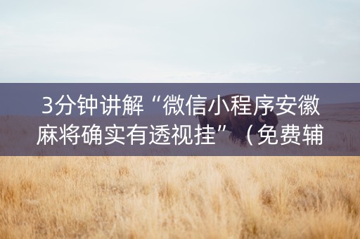 3分钟讲解“微信小程序安徽麻将确实有透视挂”（免费辅助)