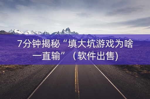 7分钟揭秘“填大坑游戏为啥一直输”（软件出售)