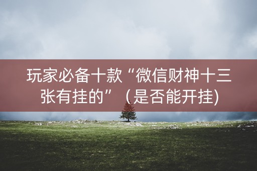 玩家必备十款“微信财神十三张有挂的”（是否能开挂)