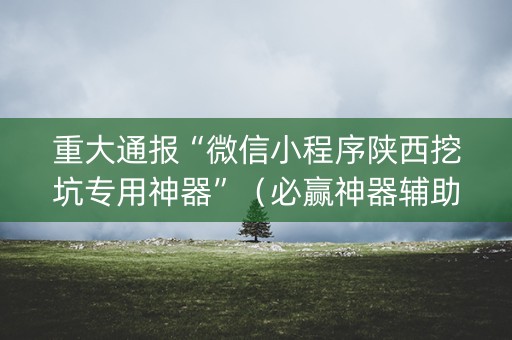 重大通报“微信小程序陕西挖坑专用神器”（必赢神器辅助器)