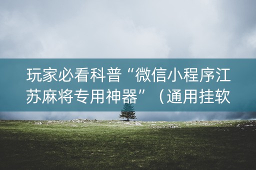 玩家必看科普“微信小程序江苏麻将专用神器”（通用挂软件多少钱)