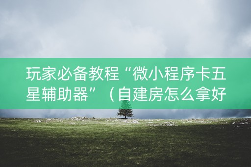 玩家必备教程“微小程序卡五星辅助器”（自建房怎么拿好牌)