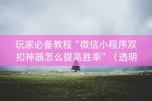 玩家必备教程“微信小程序双扣神器怎么提高胜率”（透明挂辅助器)