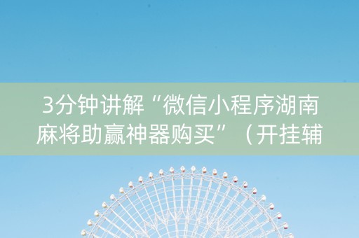 3分钟讲解“微信小程序湖南麻将助赢神器购买”（开挂辅助插件)