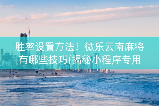 胜率设置方法！微乐云南麻将有哪些技巧(揭秘小程序专用神器)