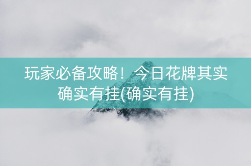 玩家必备攻略！今日花牌其实确实有挂(确实有挂)