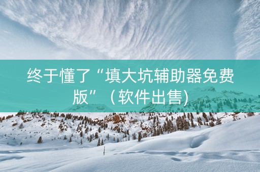 终于懂了“填大坑辅助器免费版”（软件出售)