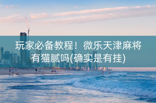 玩家必备教程！微乐天津麻将有猫腻吗(确实是有挂)