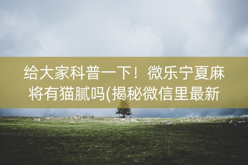 给大家科普一下！微乐宁夏麻将有猫腻吗(揭秘微信里最新神器下载)