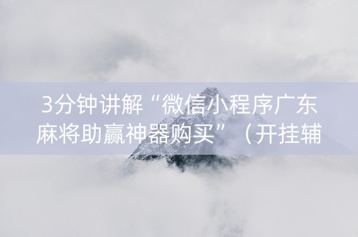3分钟讲解“微信小程序广东麻将助赢神器购买”（开挂辅助器脚本)