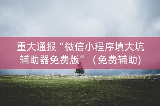 重大通报“微信小程序填大坑辅助器免费版”（免费辅助)