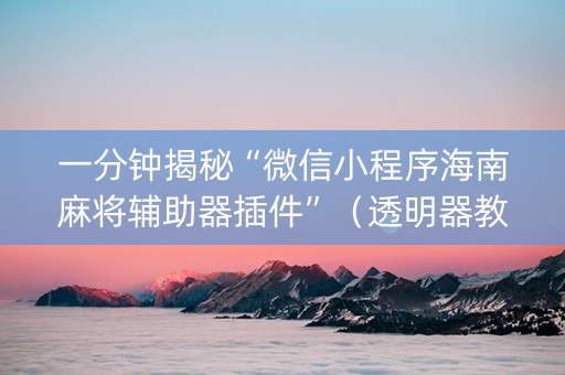 一分钟揭秘“微信小程序海南麻将辅助器插件”（透明器教程)