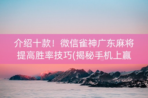 介绍十款！微信雀神广东麻将提高胜率技巧(揭秘手机上赢的秘诀)