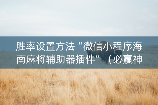 胜率设置方法“微信小程序海南麻将辅助器插件”（必赢神器)