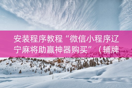 安装程序教程“微信小程序辽宁麻将助赢神器购买”（辅牌器插件购买)