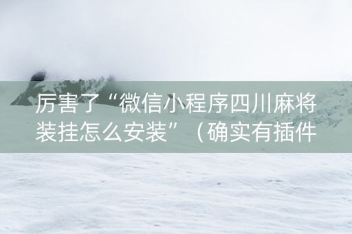 厉害了“微信小程序四川麻将装挂怎么安装”（确实有插件吗)