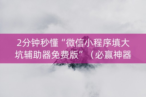 2分钟秒懂“微信小程序填大坑辅助器免费版”（必赢神器)