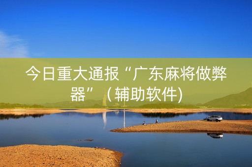 今日重大通报“广东麻将做弊器”（辅助软件)