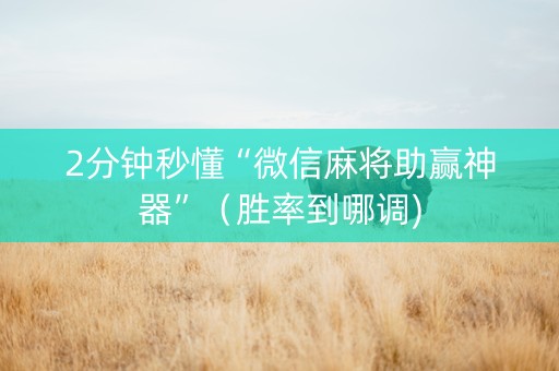 2分钟秒懂“微信麻将助赢神器”（胜率到哪调)