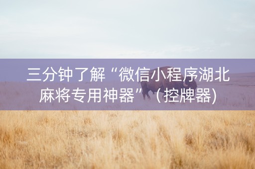 三分钟了解“微信小程序湖北麻将专用神器”（控牌器)