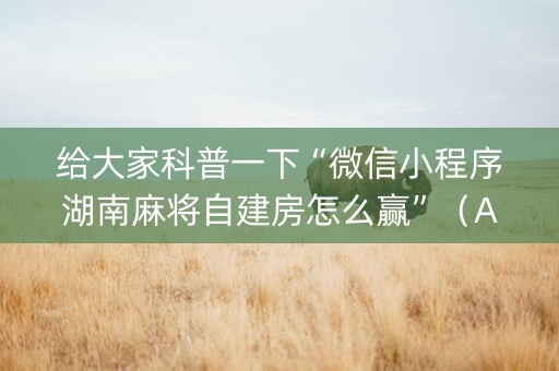 给大家科普一下“微信小程序湖南麻将自建房怎么赢”（AI辅助胡牌规则)