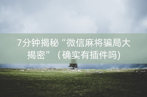 7分钟揭秘“微信麻将骗局大揭密”（确实有插件吗)