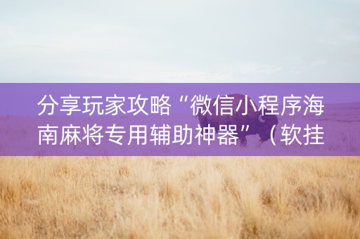 分享玩家攻略“微信小程序海南麻将专用辅助神器”（软挂神器)