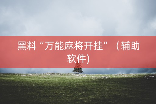 黑料“万能麻将开挂”（辅助软件)