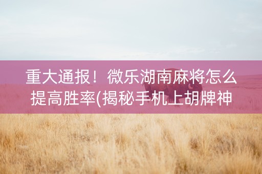 重大通报！微乐湖南麻将怎么提高胜率(揭秘手机上胡牌神器)
