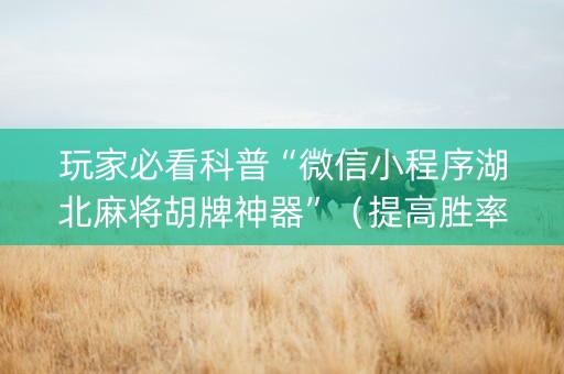 玩家必看科普“微信小程序湖北麻将胡牌神器”（提高胜率技巧)