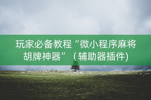 玩家必备教程“微小程序麻将胡牌神器”（辅助器插件)