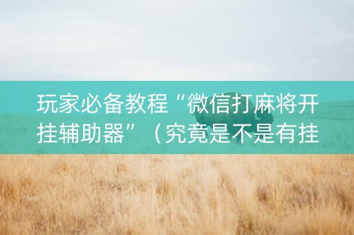 玩家必备教程“微信打麻将开挂辅助器”（究竟是不是有挂)