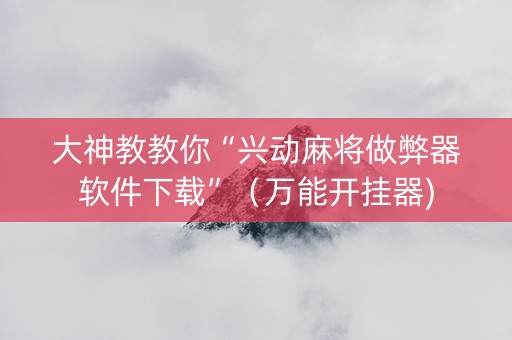 大神教教你“兴动麻将做弊器软件下载”（万能开挂器)