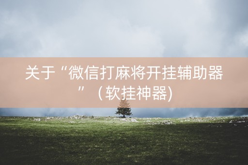 关于“微信打麻将开挂辅助器”（软挂神器)