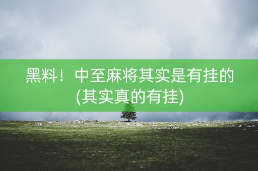 黑料！中至麻将其实是有挂的(其实真的有挂)