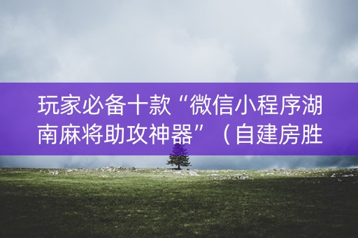 玩家必备十款“微信小程序湖南麻将助攻神器”（自建房胜负规律)