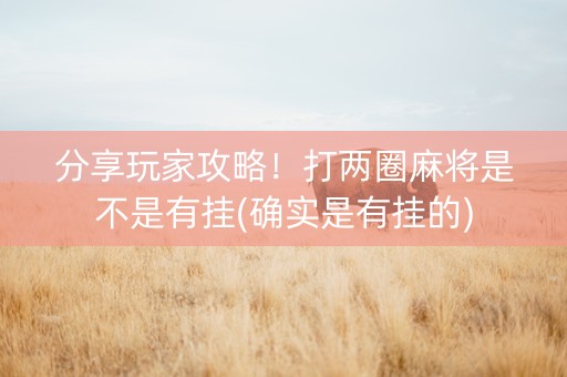 分享玩家攻略！打两圈麻将是不是有挂(确实是有挂的)