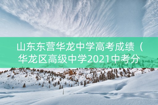 山东东营华龙中学高考成绩（华龙区高级中学2021中考分数线）